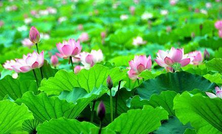 今年中秋节