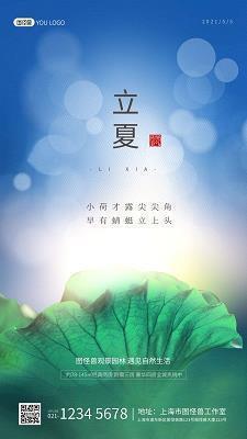 一场灭蝇战斗