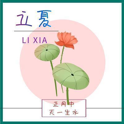 听大海说话