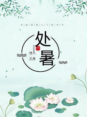 虚光打一成语