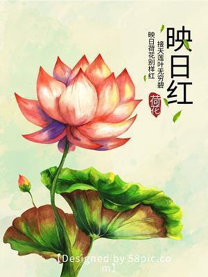 可爱的相思鸟