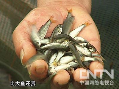 展望21世纪
