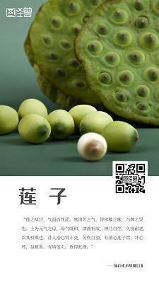 《猴子种果树》新编