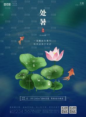 带小乌龟晒太阳