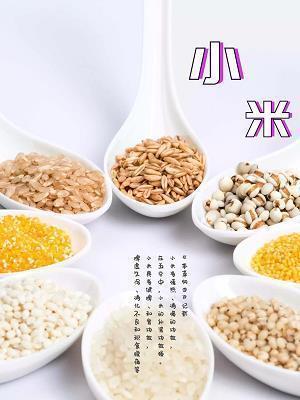 疏不间亲成语接龙游戏