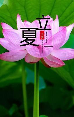 做刚做柔成语接龙游戏