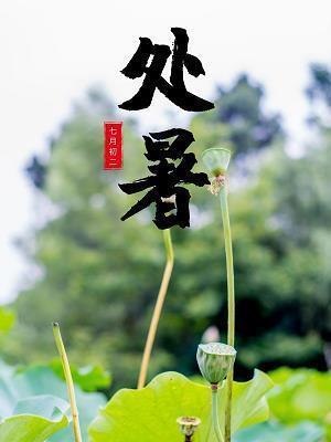 点金无术成语接龙游戏