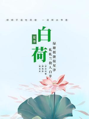 钻天觅缝成语接龙游戏