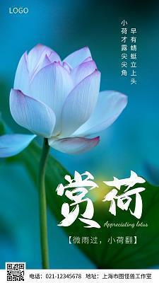 风声鹤唳造句-用风声鹤唳怎么造句