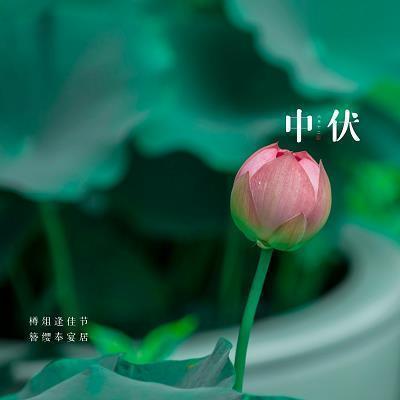 我渴望幻化成一缕阳光