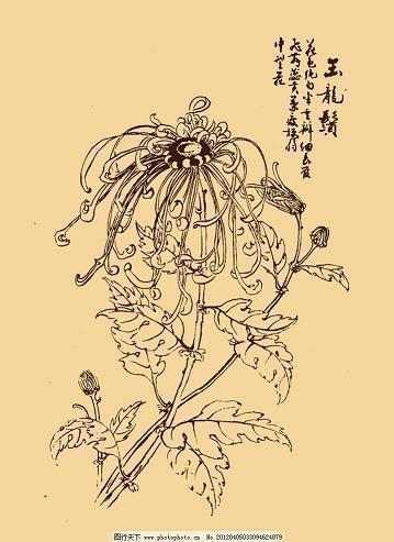 渺茫崩溃峰峰亲笔