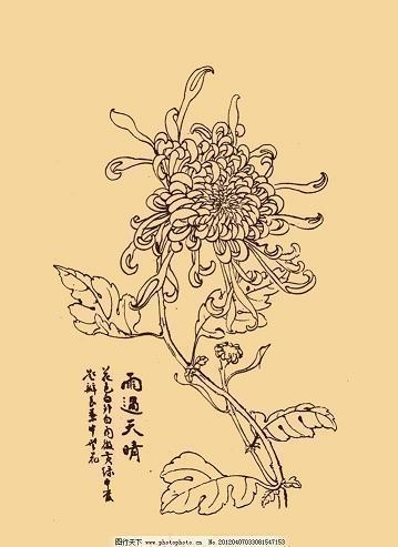 人生崭新的一面