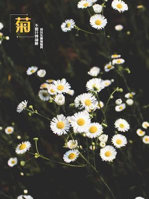 最坏的后代打一成语