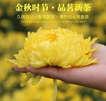 什么牵动我的情思