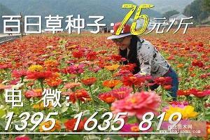 长辔远驭成语接龙游戏