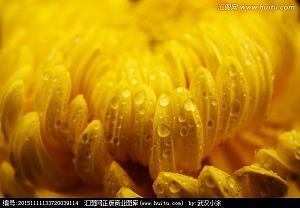 教亦多术成语接龙游戏