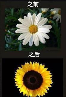 去西溪湿地春游_小学生作文,四年级作文,四年级写景作文_韩大伟完美作文