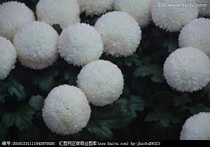 残民以逞成语接龙游戏