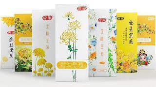 禁暴静乱成语接龙游戏