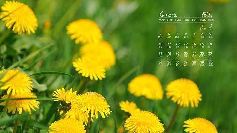 奶奶种菜