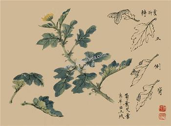 幽静的小竹林