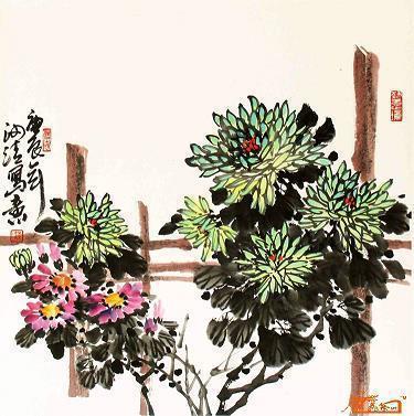 Q宠宝贝