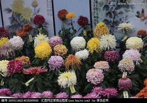 在感恩中成长——读《雾都孤儿》