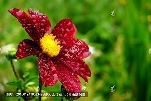 你的笑容，让我记住了你