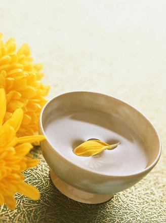 食指众多成语接龙游戏