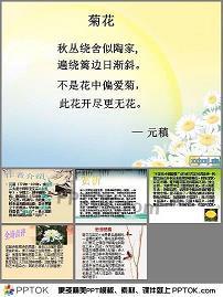 向往大海的树叶
