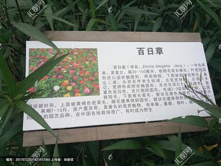 大海_小学生作文,三年级作文,三年级写景作文_范坤泰完美作文