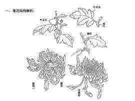 钻头就锁成语接龙游戏