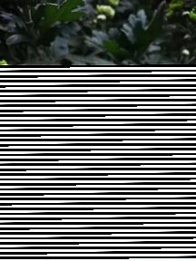 尸禄素食成语接龙游戏