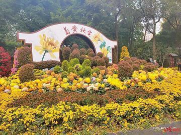 乡村春色