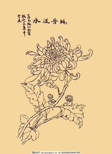 卖文具的阿姨