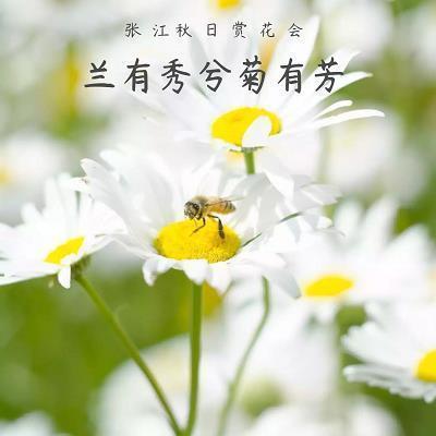 会变魔术的小庭院