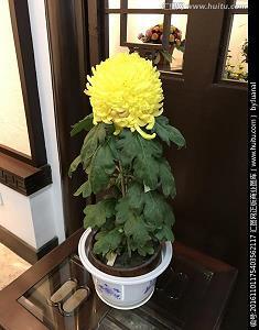 开心的聚会