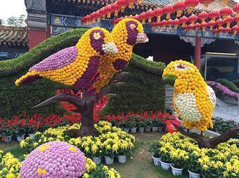 追远慎终成语接龙游戏