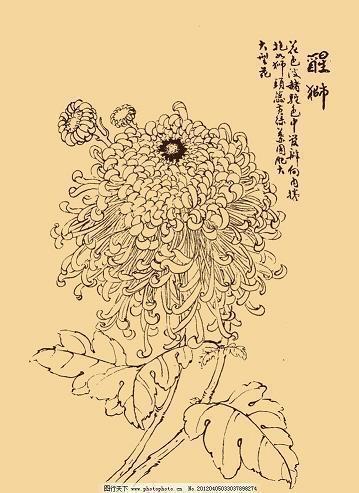 拉家带口成语接龙游戏