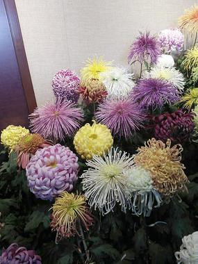 感恩