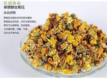 外星人看地球