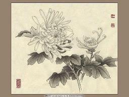 一切都那么美好
