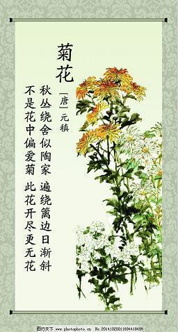 夏令营的感想