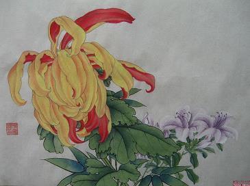 《海贼王》