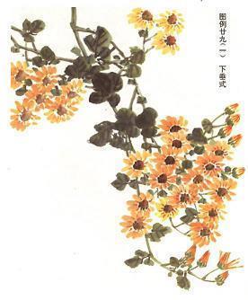 一颗感恩的心