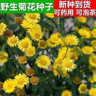 一滴水的旅程