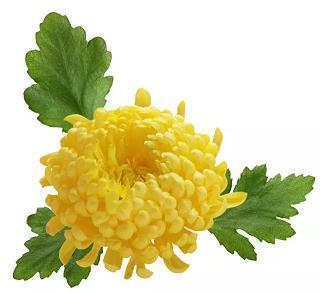 异彩纷呈成语接龙游戏