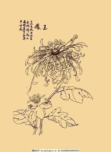 贪如虎狼成语接龙游戏