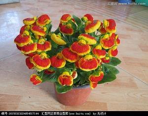 又到家家团聚时