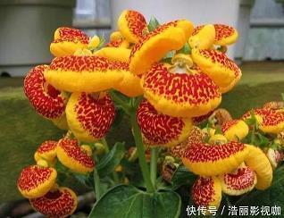 下情上达成语接龙游戏